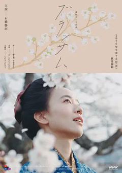 花朵盛开海报